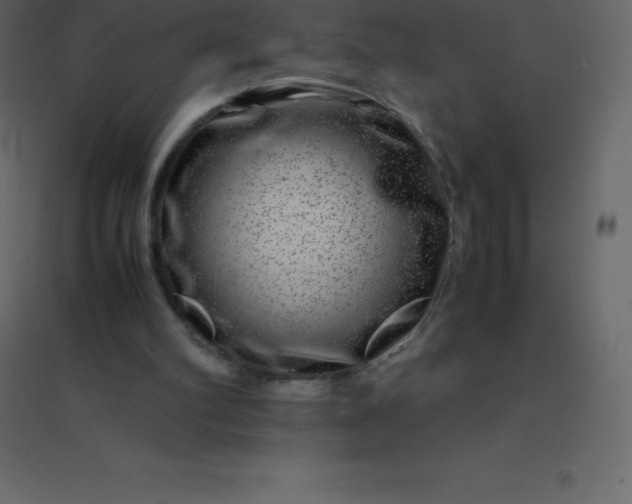 X0000094950102200712131631