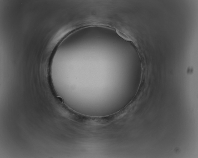 X0000094950103200712131631