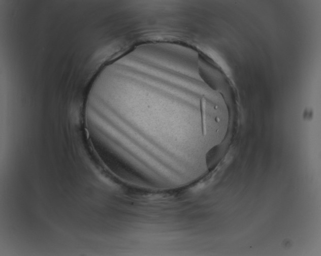 X0000094950105200712131631