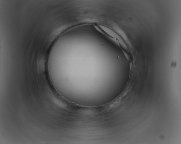 X0000094950106200712131631