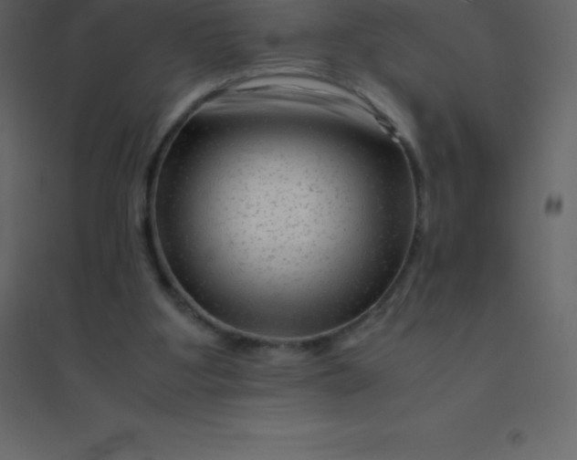 X0000094950107200712131631