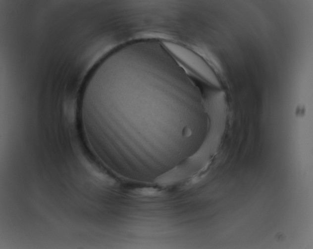 X0000094950108200712131631