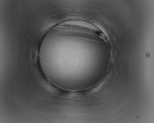 X0000094950109200712131631