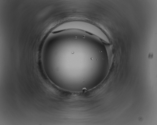 X0000094950111200712131631