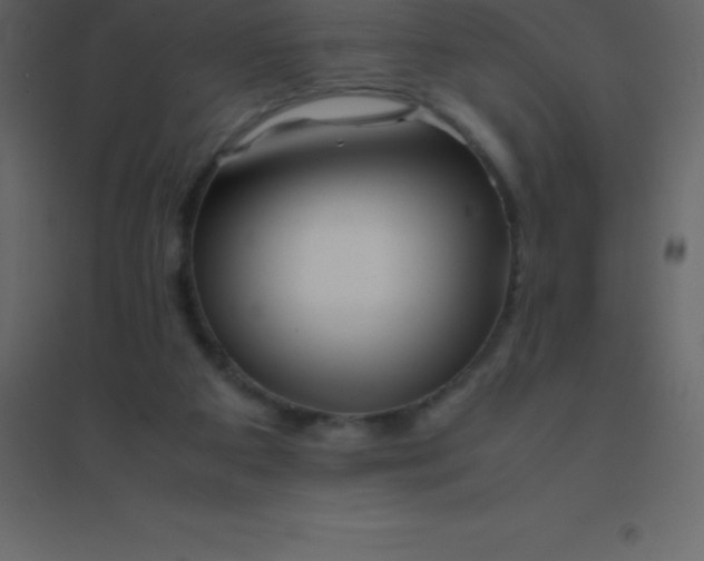 X0000094950113200712131631