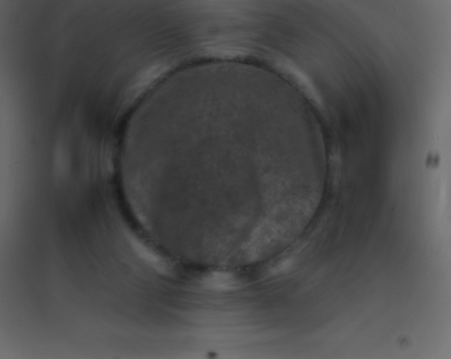 X0000094950114200712131631