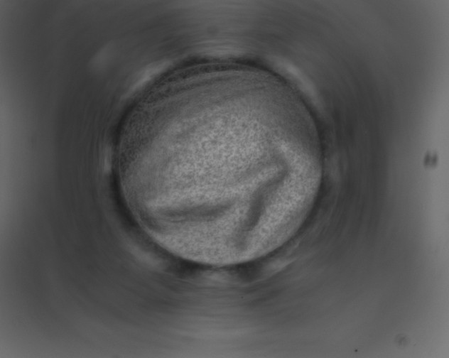 X0000094950115200712131631