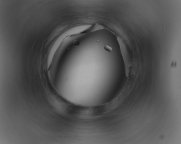 X0000094950116200712131631