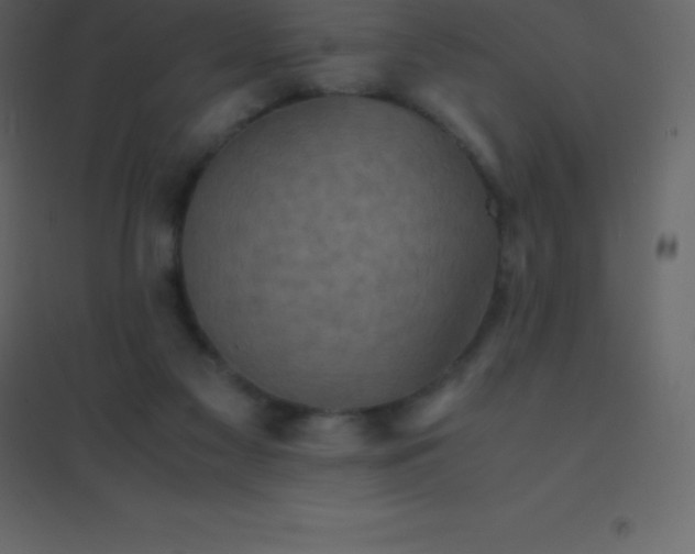 X0000094950117200712131631