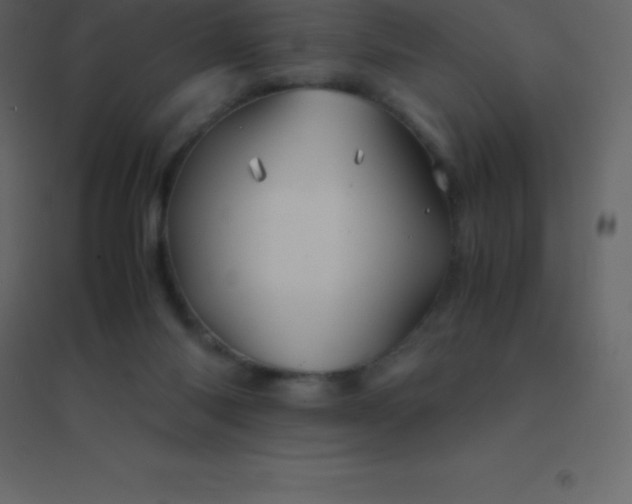 X0000094950118200712131631