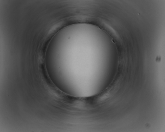 X0000094950119200712131631