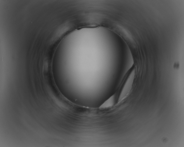 X0000094950120200712131631