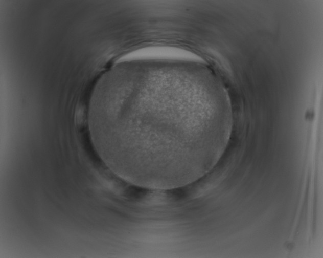 X0000094950123200712131631