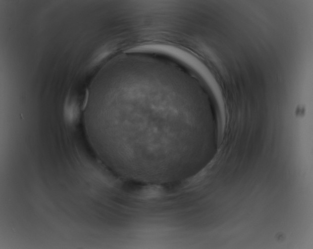 X0000094950124200712131631