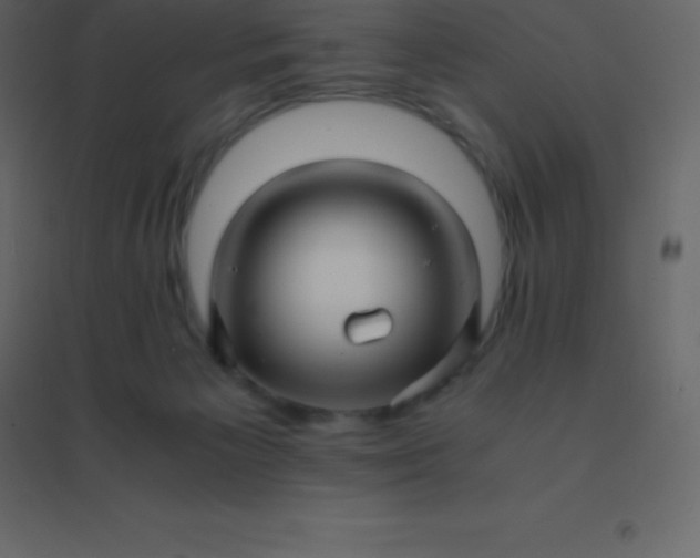 X0000094950125200712131630