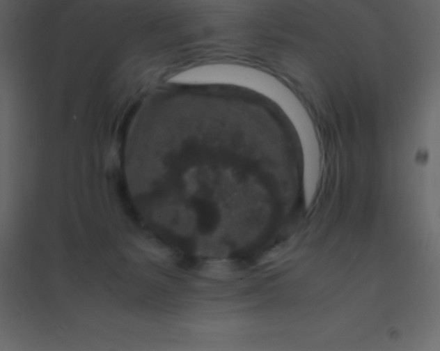 X0000094950127200712131630