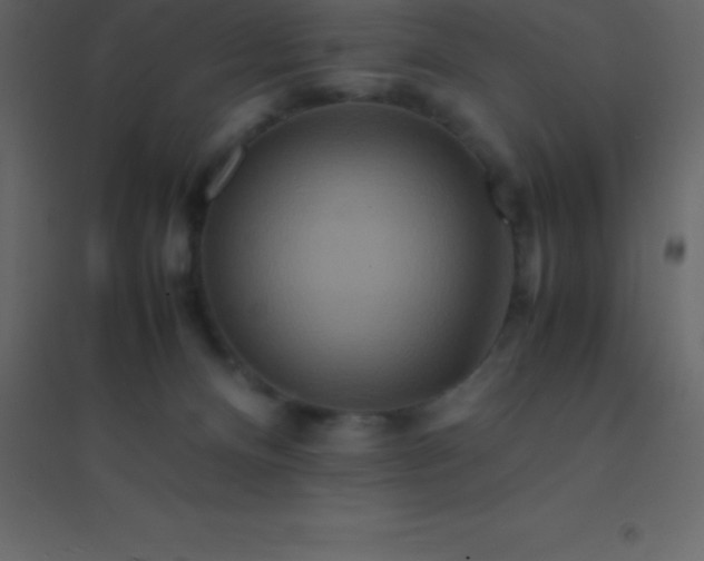 X0000094950128200712131630