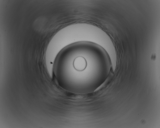 X0000094950129200712131630