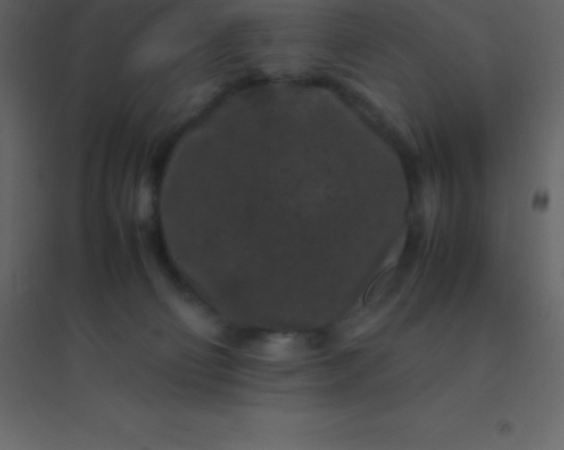 X0000094950130200712131630