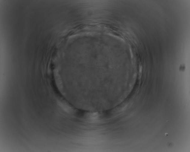 X0000094950131200712131630