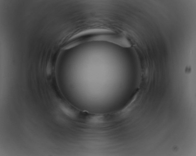 X0000094950132200712131630