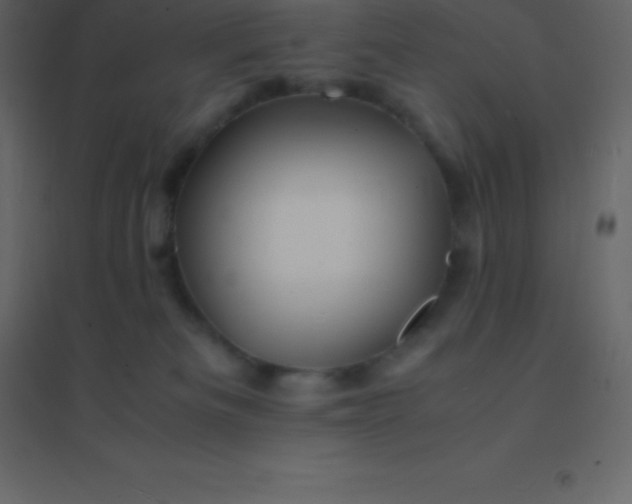 X0000094950133200712131630