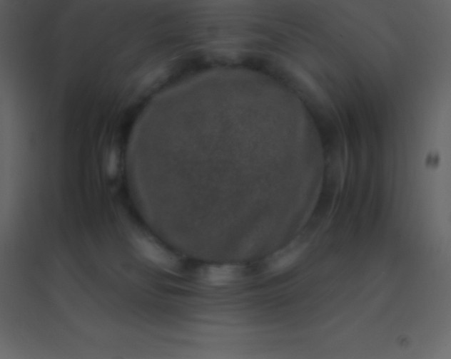 X0000094950134200712131630