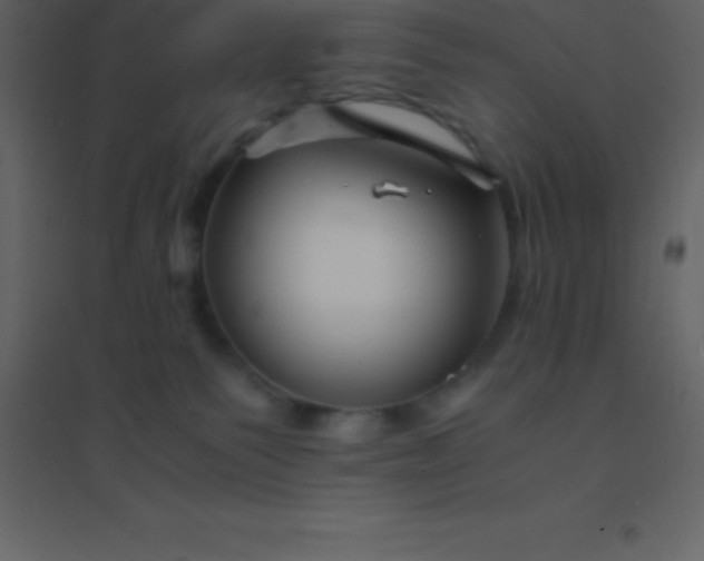 X0000094950135200712131630