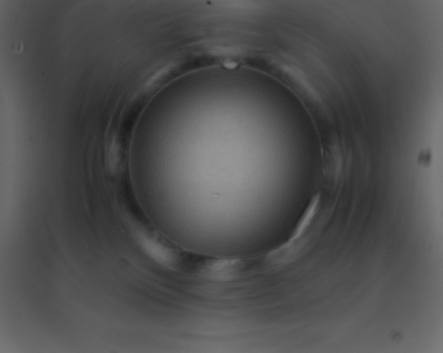 X0000094950136200712131630