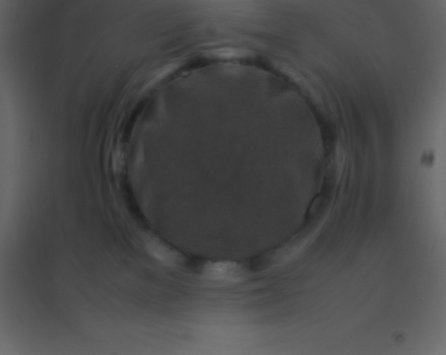 X0000094950137200712131630