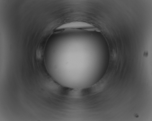 X0000094950138200712131630