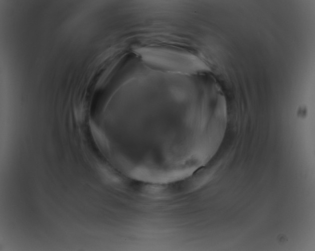 X0000094950139200712131630