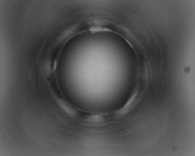 X0000094950140200712131630