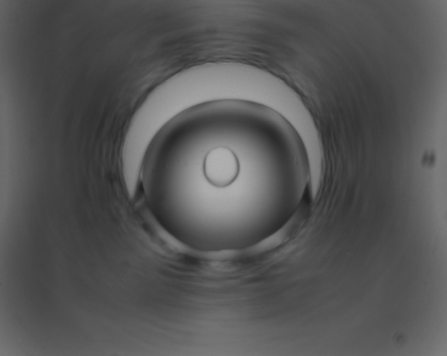 X0000094950141200712131630