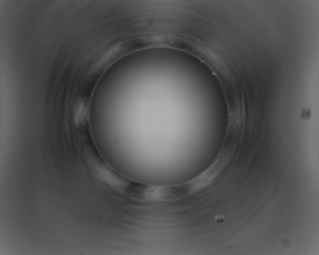 X0000094950142200712131630