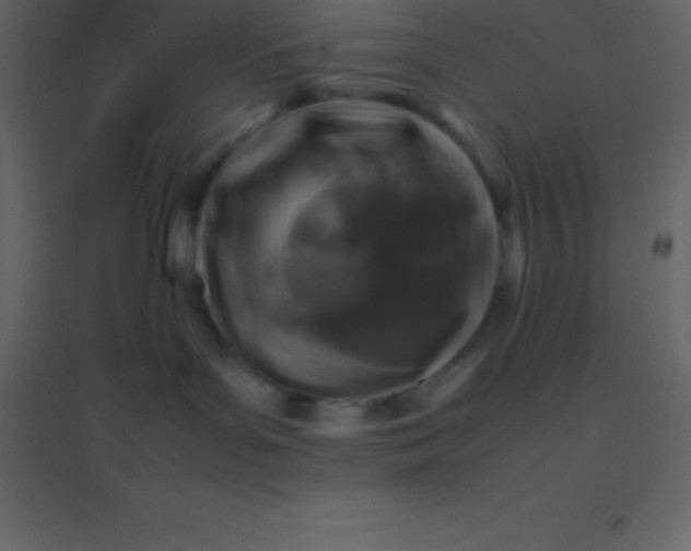 X0000094950143200712131630