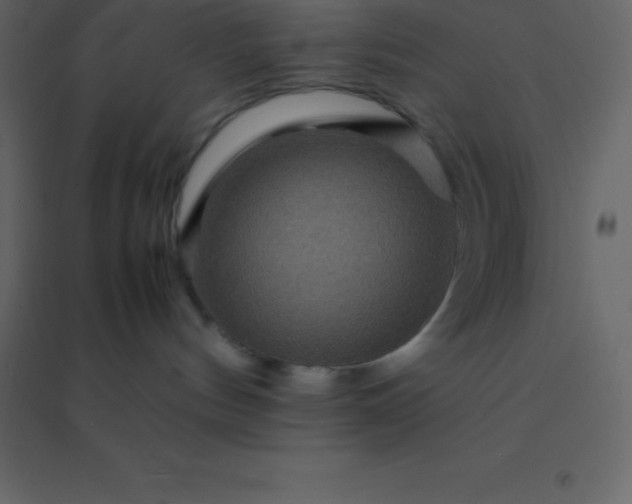 X0000094950144200712131630