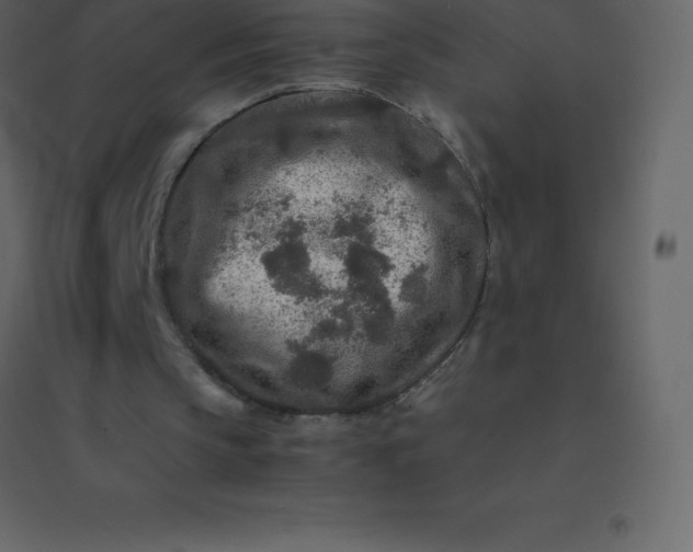 X0000094950145200712131630