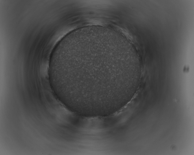 X0000094950146200712131630