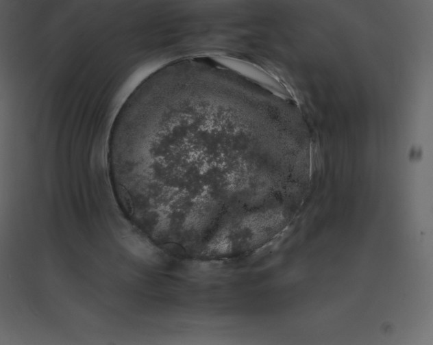 X0000094950147200712131630