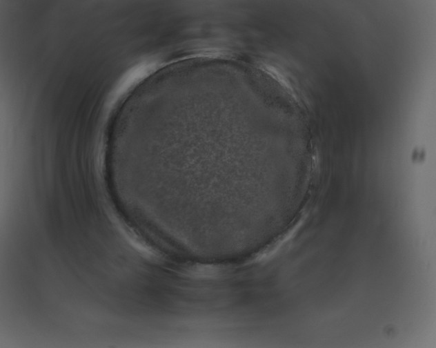 X0000094950149200712131630