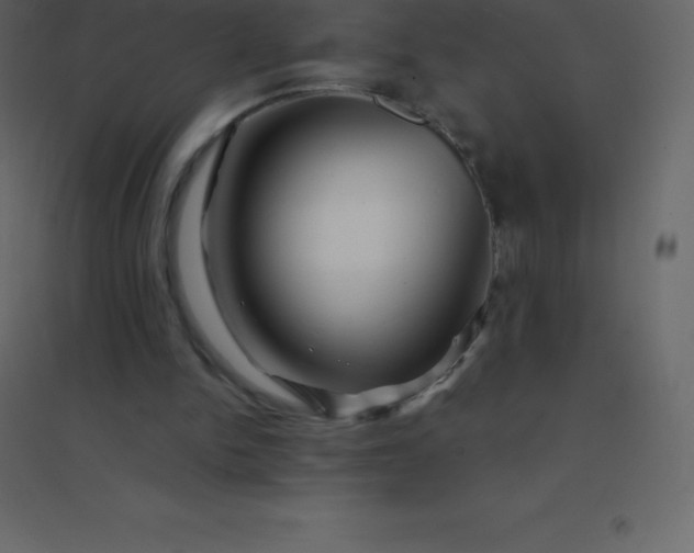 X0000094950150200712131630