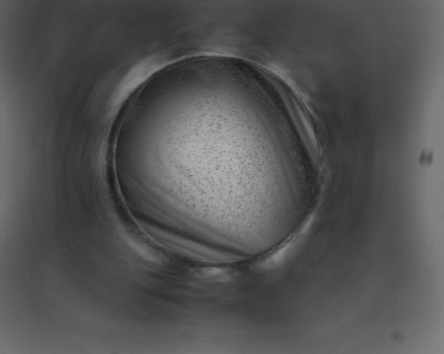 X0000094950151200712131630