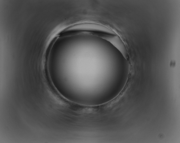 X0000094950152200712131630