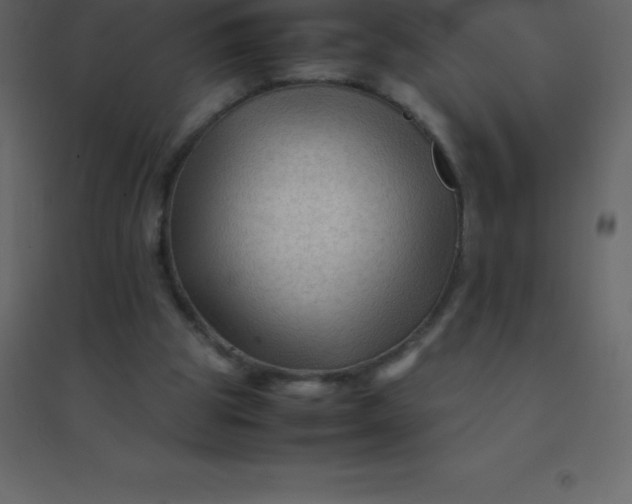 X0000094950153200712131630