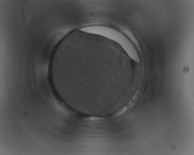 X0000094950154200712131630