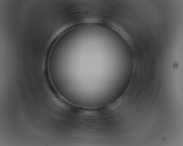 X0000094950155200712131630