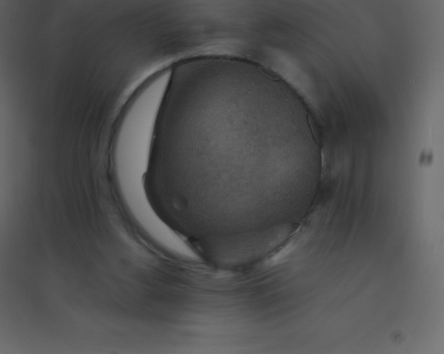 X0000094950156200712131630