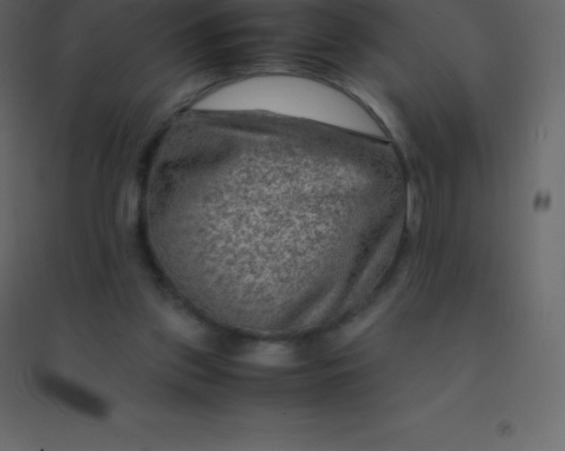 X0000094950157200712131630