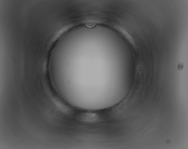 X0000094950159200712131630